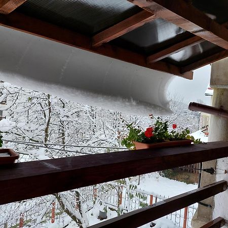 Holiday House Valiug Exterior photo