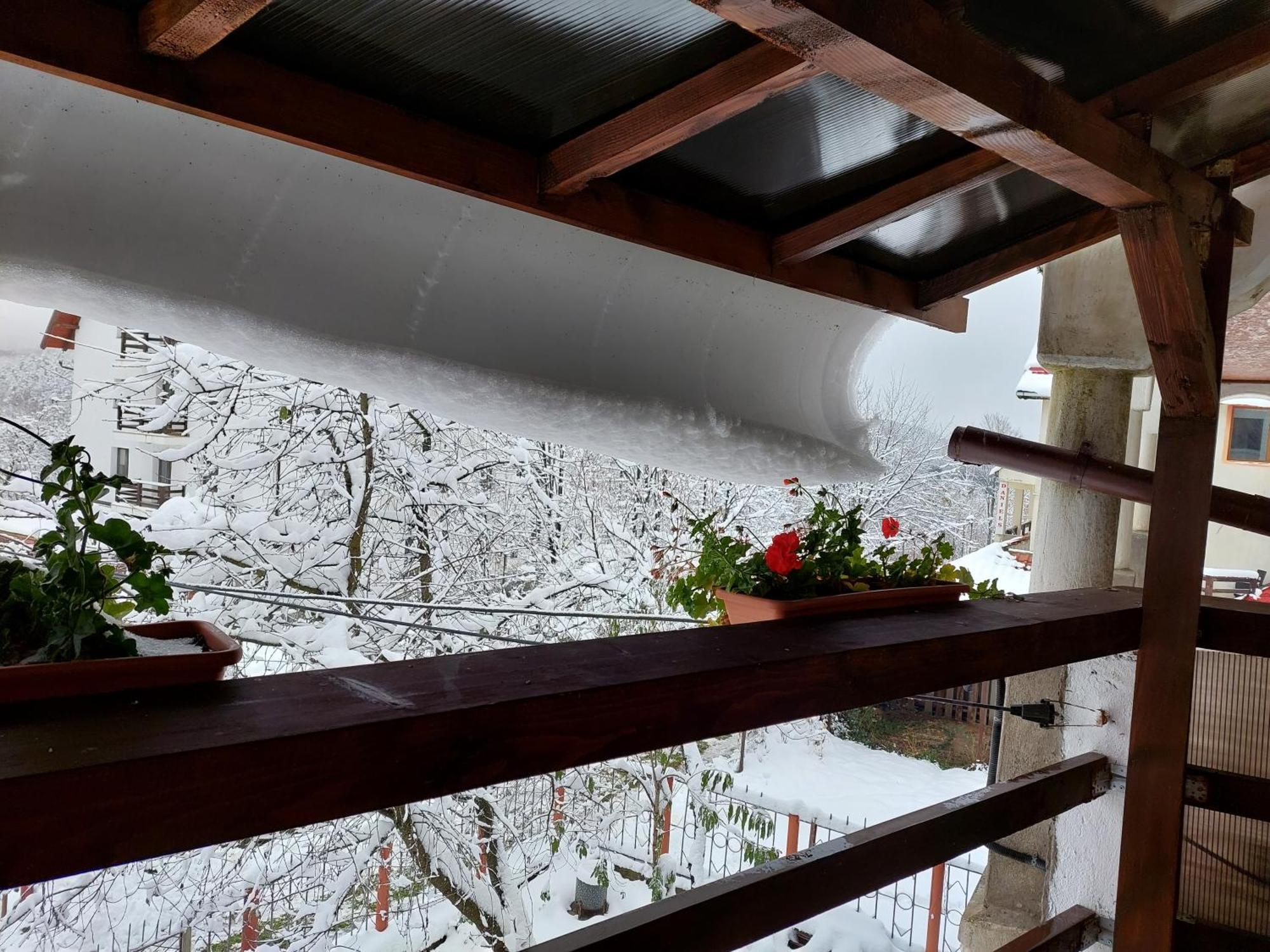 Holiday House Valiug Exterior photo
